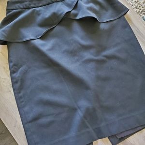 Express Pencil Skirt